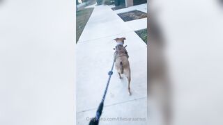 Sara Ames (thesaraames) OnlyFans Leaks Sexy Lovely Neighbour Girl 59