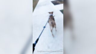 Sara Ames (thesaraames) OnlyFans Leaks Sexy Lovely Neighbour Girl 59