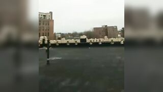 Stormimaya (Stormi Maya) OnlyFans Leaks Girl Porn Video 208