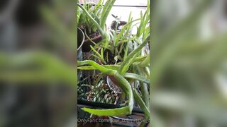 Valorie (your_submissive_doll) OnlyFans Leaks naturally busty college slut 65