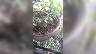 Valorie (your_submissive_doll) OnlyFans Leaks naturally busty college slut 65