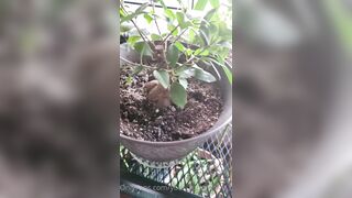 Valorie (your_submissive_doll) OnlyFans Leaks naturally busty college slut 65