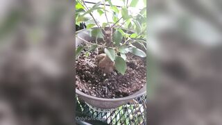 Valorie (your_submissive_doll) OnlyFans Leaks naturally busty college slut 65