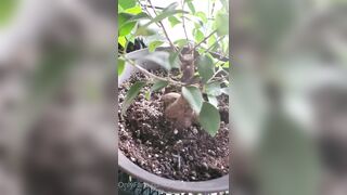 Valorie (your_submissive_doll) OnlyFans Leaks naturally busty college slut 65