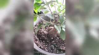 Valorie (your_submissive_doll) OnlyFans Leaks naturally busty college slut 65