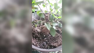 Valorie (your_submissive_doll) OnlyFans Leaks naturally busty college slut 65