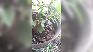 Valorie (your_submissive_doll) OnlyFans Leaks naturally busty college slut 65