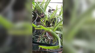 Valorie (your_submissive_doll) OnlyFans Leaks naturally busty college slut 65