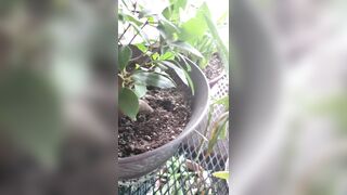 Valorie (your_submissive_doll) OnlyFans Leaks naturally busty college slut 65