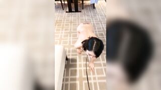 ZhangHeyu OnlyFans Leaks Huge Round Boobs Chinese Lady 6