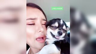 orapunfaii - CBrmUQmByVb