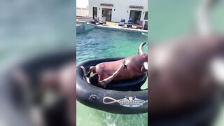 Cassiecurses (Cassie Curses) OnlyFans Leaks Girl Porn Video 2