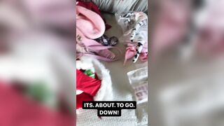 Kazumisworld (Kazumi) Onlyfans Leaks Indonesia Girl Porn Video 265