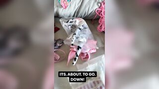 Kazumisworld (Kazumi) Onlyfans Leaks Indonesia Girl Porn Video 265