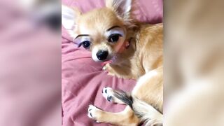 orapunfaii - B-hgT5LB-CS