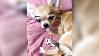 orapunfaii - B-hgT5LB-CS