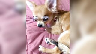 orapunfaii - B-hgT5LB-CS