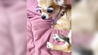 orapunfaii - B-hgT5LB-CS