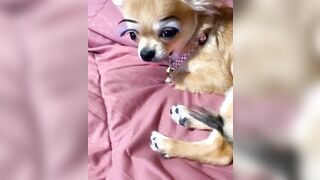 orapunfaii - B-hgT5LB-CS