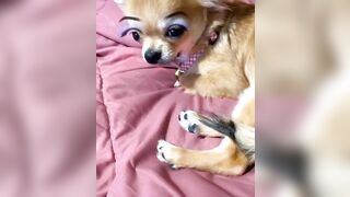 orapunfaii - B-hgT5LB-CS