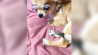 orapunfaii - B-hgT5LB-CS