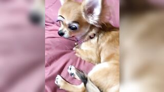 orapunfaii - B-hgT5LB-CS