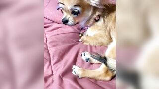 orapunfaii - B-hgT5LB-CS