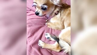 orapunfaii - B-hgT5LB-CS