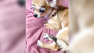 orapunfaii - B-hgT5LB-CS