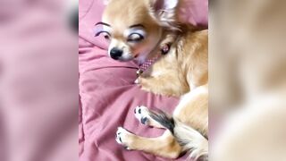 orapunfaii - B-hgT5LB-CS