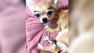 orapunfaii - B-hgT5LB-CS