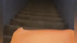 Giapaige (Gia Paige) OnlyFans Leaks Porn Stars Brunette Bombshell 117