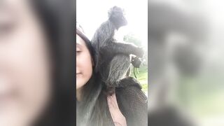 Giapaige (Gia Paige) OnlyFans Leaks Porn Stars Brunette Bombshell 233