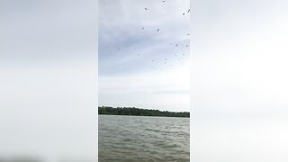 Giapaige (Gia Paige) OnlyFans Leaks Porn Stars Brunette Bombshell 233