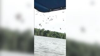 Giapaige (Gia Paige) OnlyFans Leaks Porn Stars Brunette Bombshell 233