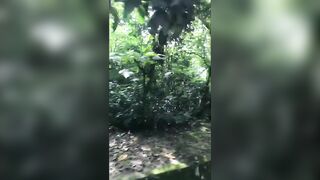 Giapaige (Gia Paige) OnlyFans Leaks Porn Stars Brunette Bombshell 233