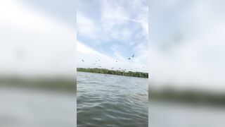 Giapaige (Gia Paige) OnlyFans Leaks Porn Stars Brunette Bombshell 233