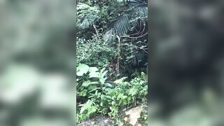 Giapaige (Gia Paige) OnlyFans Leaks Porn Stars Brunette Bombshell 233