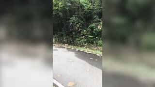 Giapaige (Gia Paige) OnlyFans Leaks Porn Stars Brunette Bombshell 233