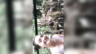 Giapaige (Gia Paige) OnlyFans Leaks Porn Stars Brunette Bombshell 99