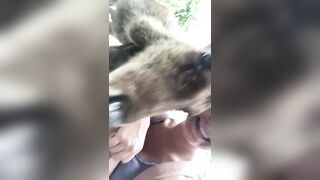 Giapaige (Gia Paige) OnlyFans Leaks Porn Stars Brunette Bombshell 99