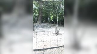 Giapaige (Gia Paige) OnlyFans Leaks Porn Stars Brunette Bombshell 99