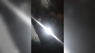 Giapaige (Gia Paige) OnlyFans Leaks Porn Stars Brunette Bombshell 92