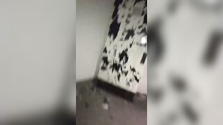 Giapaige (Gia Paige) OnlyFans Leaks Porn Stars Brunette Bombshell 92