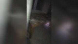 Giapaige (Gia Paige) OnlyFans Leaks Porn Stars Brunette Bombshell 92