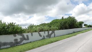 Giapaige (Gia Paige) OnlyFans Leaks Porn Stars Brunette Bombshell 39