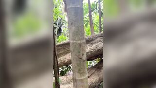 Kerynedensvip (Keryn Edens) OnlyFans Leaks Little Cherry on Top 32