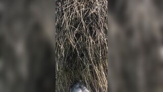 My_katti_colour (Katti Colour) OnlyFans Leaks Pro Model 12