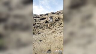 Sofiaitalianteachervip (Sofia Italian Teacher) OnlyFans Leaks Thin Milf 67