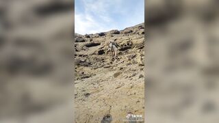 Sofiaitalianteachervip (Sofia Italian Teacher) OnlyFans Leaks Thin Milf 67